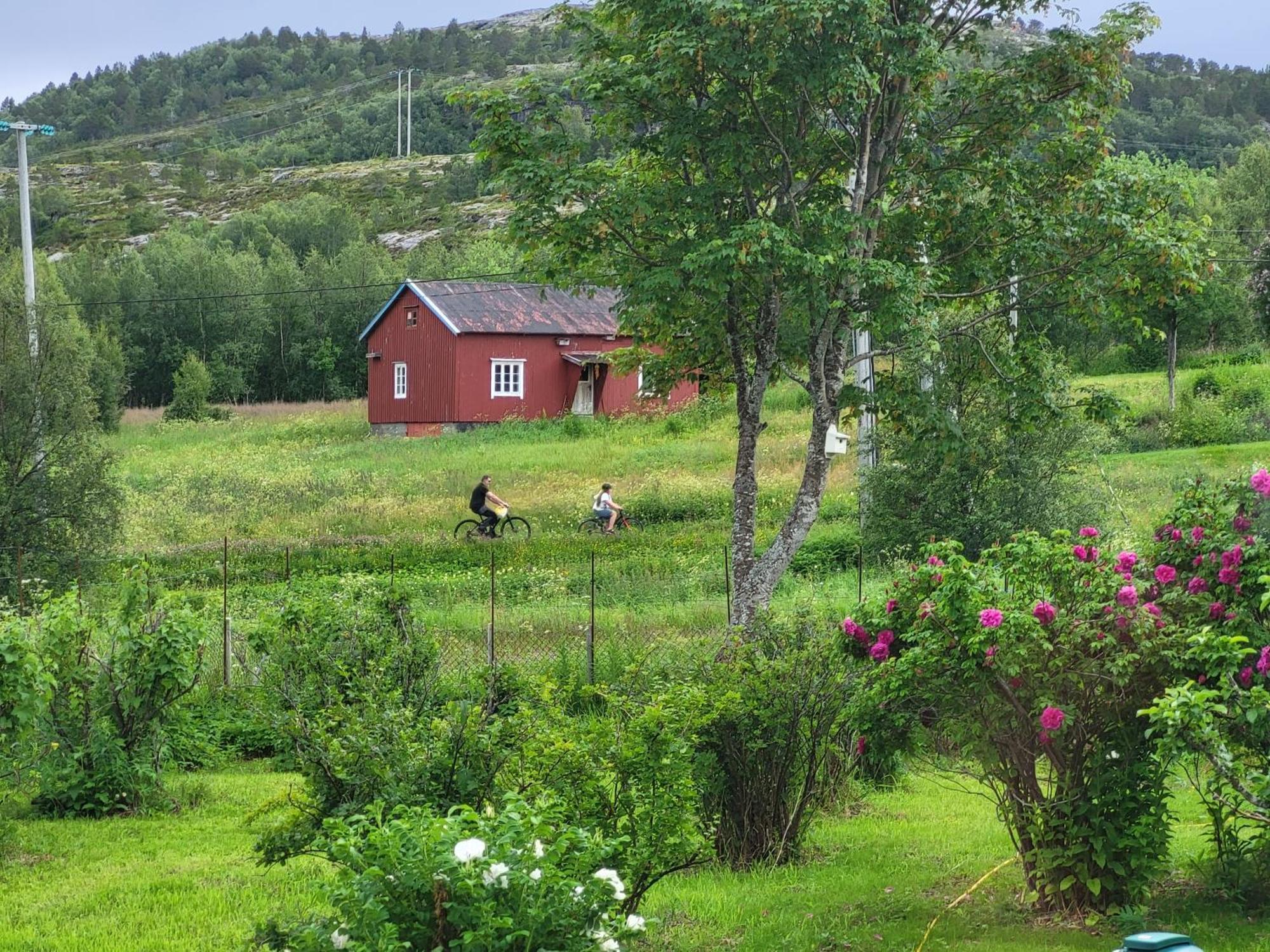 Paul'S House Villa Saltstraumen Luaran gambar